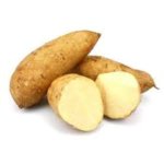 البطاطا الحلوة