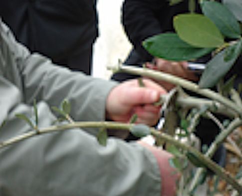 image06.jpg